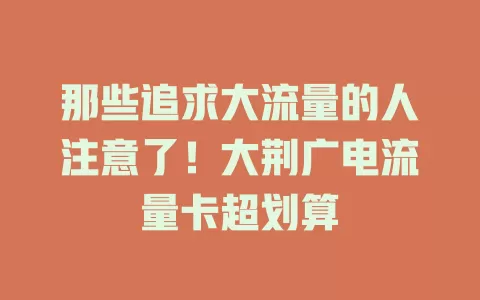 那些追求大流量的人注意了！大荆广电流量卡超划算