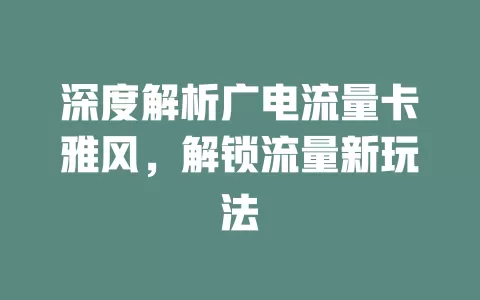 深度解析广电流量卡雅风，解锁流量新玩法