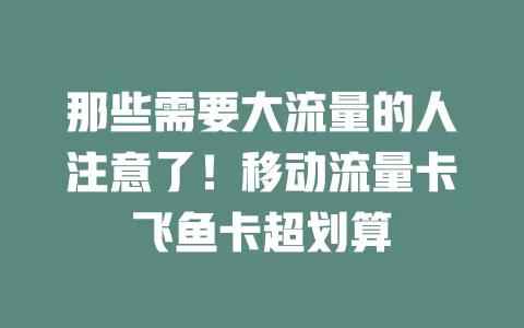 那些需要大流量的人注意了！移动流量卡飞鱼卡超划算