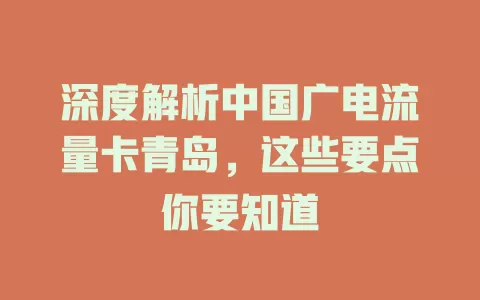 深度解析中国广电流量卡青岛，这些要点你要知道