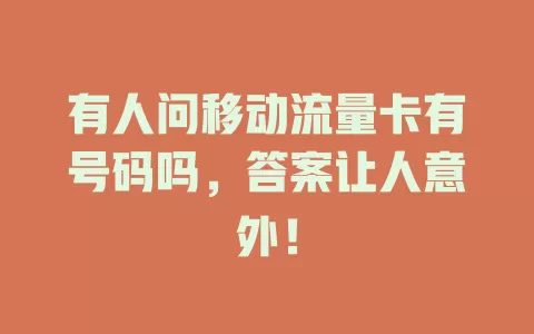 有人问移动流量卡有号码吗，答案让人意外！