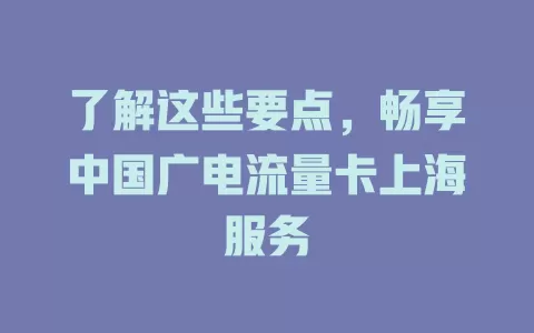 了解这些要点，畅享中国广电流量卡上海服务