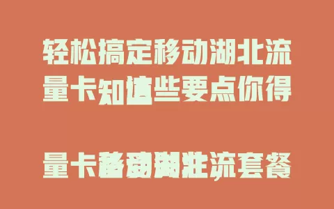 轻松搞定移动湖北流量卡，这些要点你得知道

移动湖北流量卡备受关注，套餐多样，流量额度有几十GB，通话时长也贴心。网络覆盖广，使用便捷，还有完善客服。多样套餐、良好覆盖、便捷体验，满足湖北用户通信需求