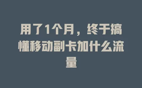 用了1个月，终于搞懂移动副卡加什么流量