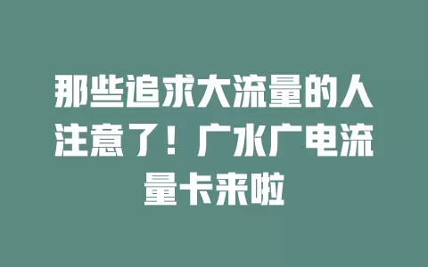 那些追求大流量的人注意了！广水广电流量卡来啦
