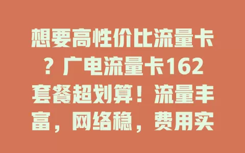 想要高性价比流量卡？广电流量卡162套餐超划算！流量丰富，网络稳，费用实惠，刷剧游戏办公轻松应对，助你畅游数字世界