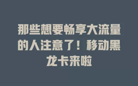 那些想要畅享大流量的人注意了！移动黑龙卡来啦