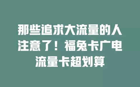 那些追求大流量的人注意了！福兔卡广电流量卡超划算