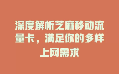深度解析芝麻移动流量卡，满足你的多样上网需求