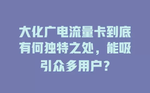 大化广电流量卡到底有何独特之处，能吸引众多用户？