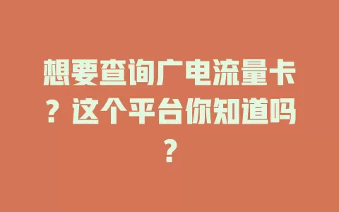 想要查询广电流量卡？这个平台你知道吗？