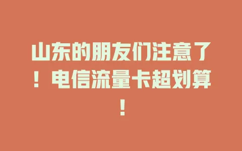 山东的朋友们注意了！电信流量卡超划算！