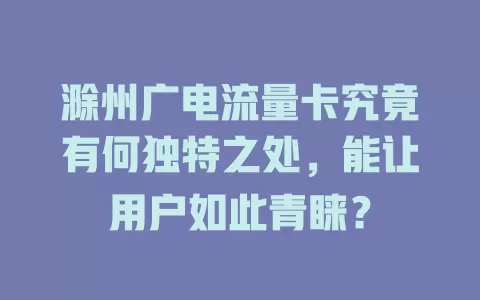 滁州广电流量卡究竟有何独特之处，能让用户如此青睐？