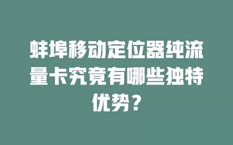 蚌埠移动定位器纯流量卡究竟有哪些独特优势？