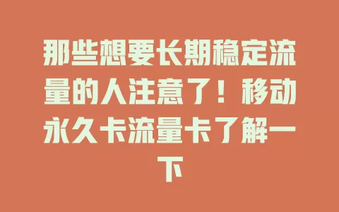 那些想要长期稳定流量的人注意了！移动永久卡流量卡了解一下