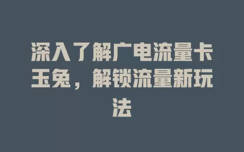 深入了解广电流量卡玉兔，解锁流量新玩法