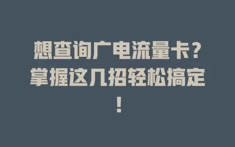 想查询广电流量卡？掌握这几招轻松搞定！