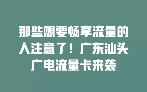 那些想要畅享流量的人注意了！广东汕头广电流量卡来袭