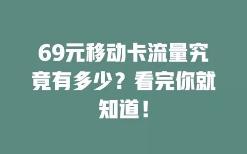 69元移动卡流量究竟有多少？看完你就知道！
