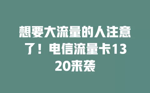 想要大流量的人注意了！电信流量卡1320来袭