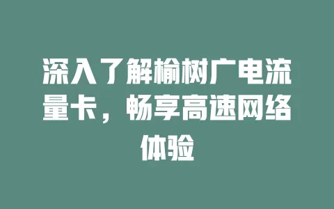 深入了解榆树广电流量卡，畅享高速网络体验