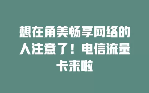 想在角美畅享网络的人注意了！电信流量卡来啦