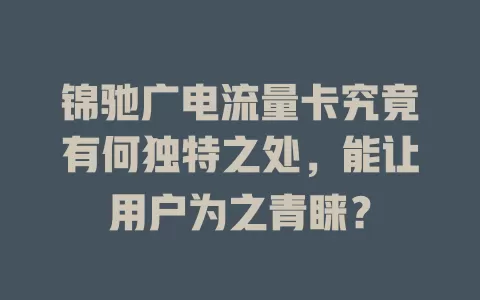 锦驰广电流量卡究竟有何独特之处，能让用户为之青睐？