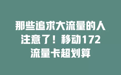 那些追求大流量的人注意了！移动172流量卡超划算