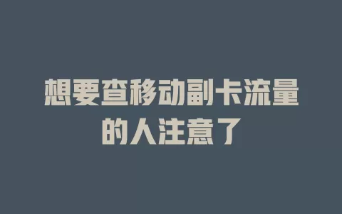 想要查移动副卡流量的人注意了