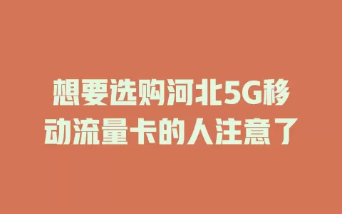 想要选购河北5G移动流量卡的人注意了