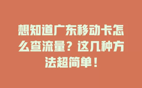 想知道广东移动卡怎么查流量？这几种方法超简单！
