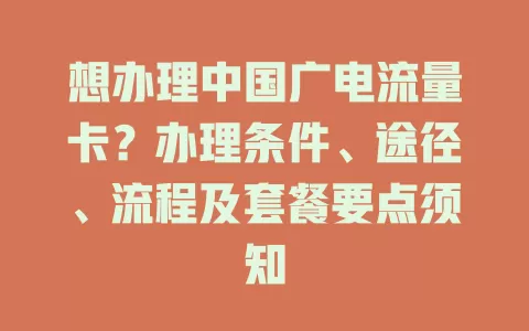 想办理中国广电流量卡？办理条件、途径、流程及套餐要点须知