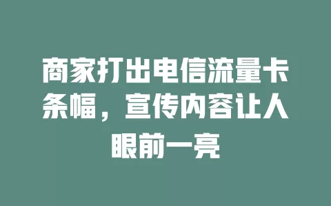 商家打出电信流量卡条幅，宣传内容让人眼前一亮