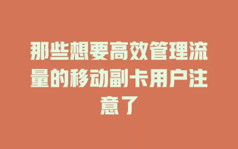 那些想要高效管理流量的移动副卡用户注意了