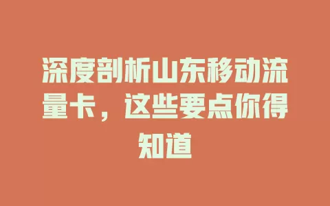 深度剖析山东移动流量卡，这些要点你得知道