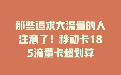 那些追求大流量的人注意了！移动卡185流量卡超划算