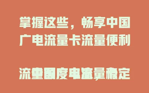 掌握这些，畅享中国广电流量卡流量便利

中国广电流量卡流量额度丰富，稳定性佳，性价比高，使用场景广。使用时掌握技巧，合理规划不浪费，就能享受优质网络体验，开启精彩数字生活。