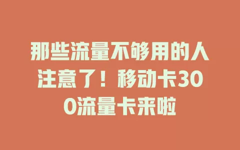 那些流量不够用的人注意了！移动卡300流量卡来啦