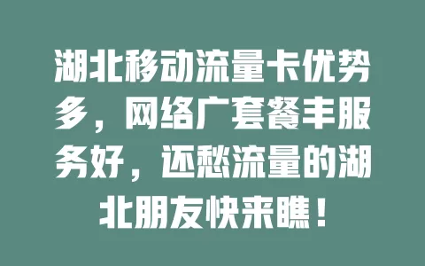 湖北移动流量卡优势多，网络广套餐丰服务好，还愁流量的湖北朋友快来瞧！
