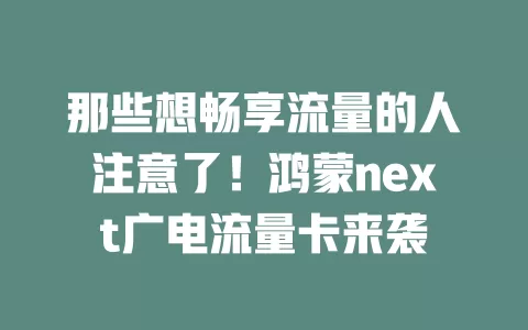 那些想畅享流量的人注意了！鸿蒙next广电流量卡来袭