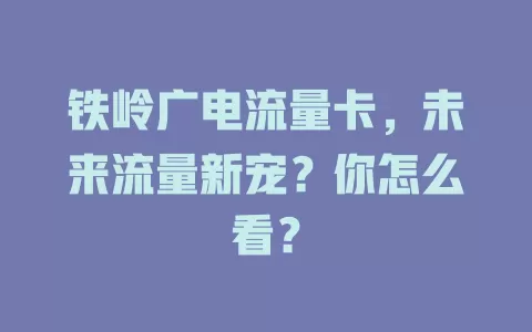 铁岭广电流量卡，未来流量新宠？你怎么看？