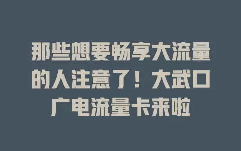 那些想要畅享大流量的人注意了！大武口广电流量卡来啦