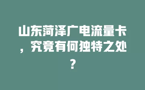 山东菏泽广电流量卡，究竟有何独特之处？