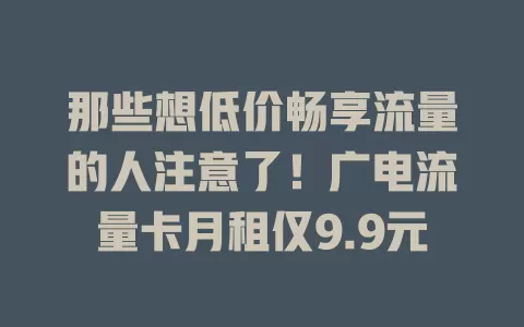 那些想低价畅享流量的人注意了！广电流量卡月租仅9.9元