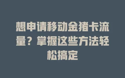 想申请移动金猪卡流量？掌握这些方法轻松搞定