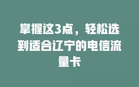 掌握这3点，轻松选到适合辽宁的电信流量卡