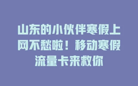 山东的小伙伴寒假上网不愁啦！移动寒假流量卡来救你