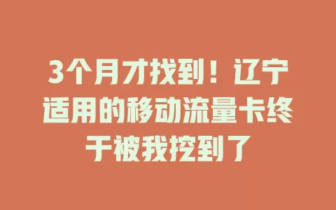 3个月才找到！辽宁适用的移动流量卡终于被我挖到了