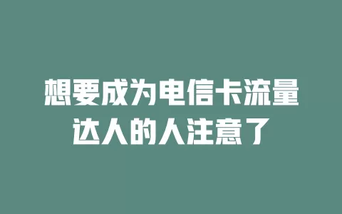 想要成为电信卡流量达人的人注意了
