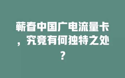 蕲春中国广电流量卡，究竟有何独特之处？